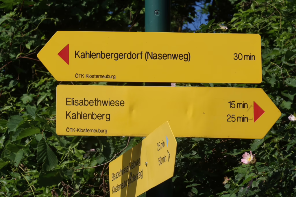 Galeriebild