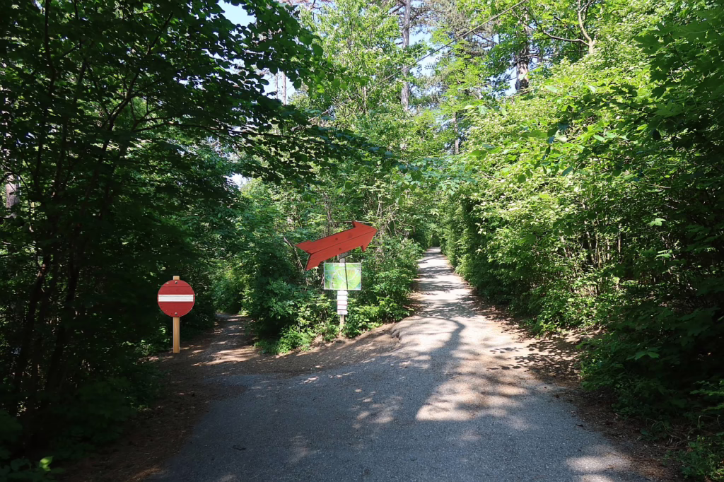 Galeriebild