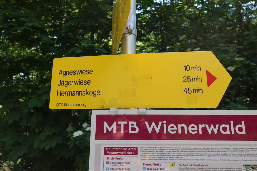 Galeriebild