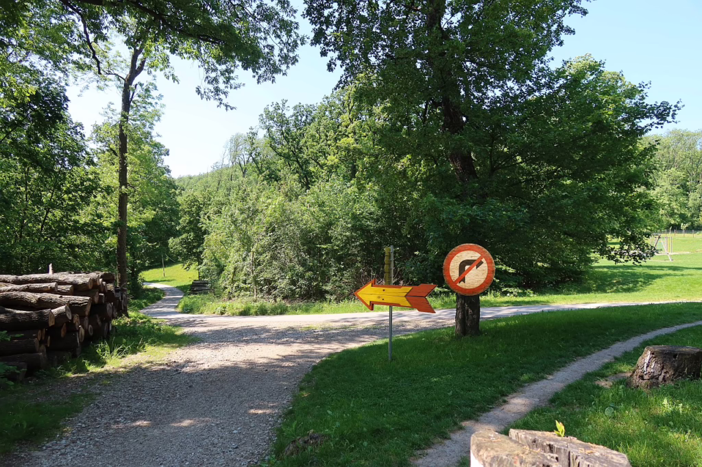 Galeriebild