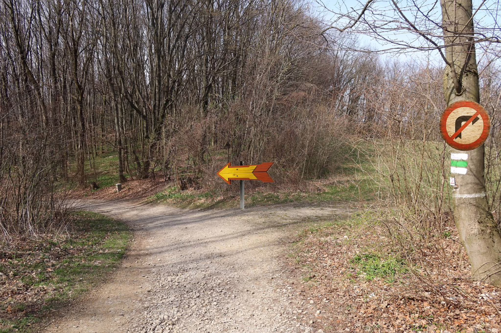 Galeriebild