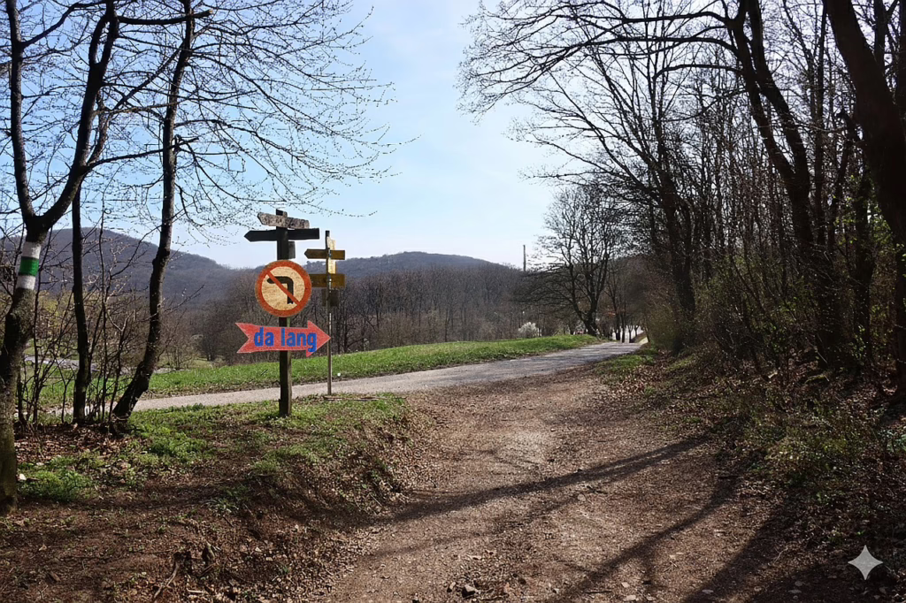 Galeriebild
