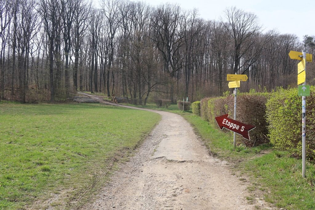 Galeriebild
