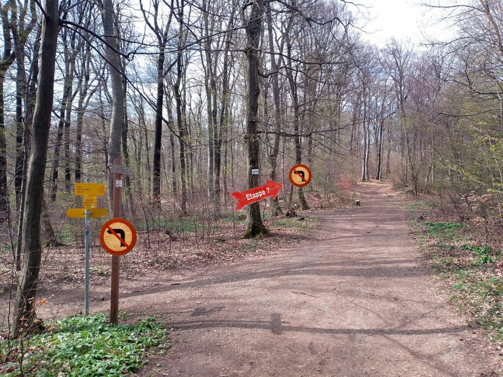Galeriebild