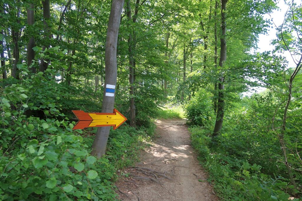 Galeriebild
