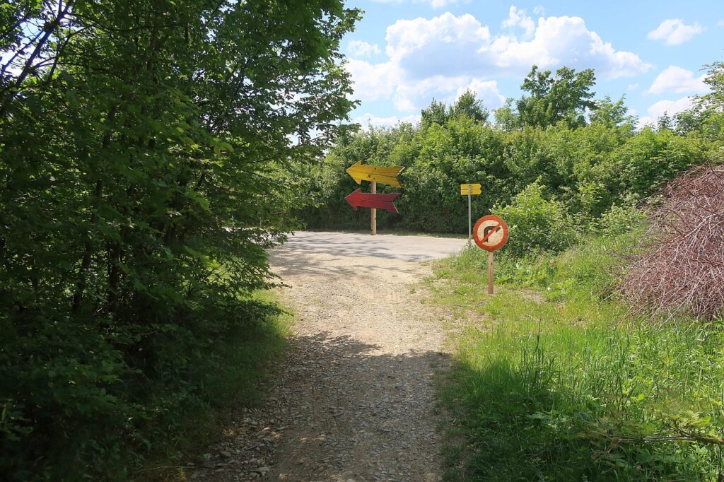 Galeriebild