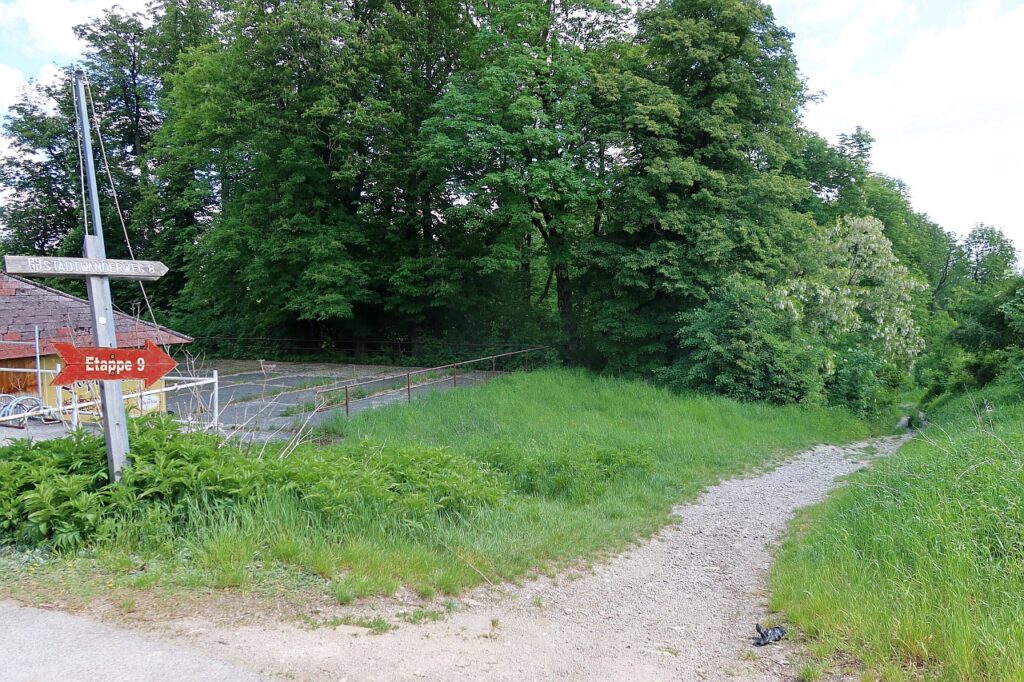 Galeriebild