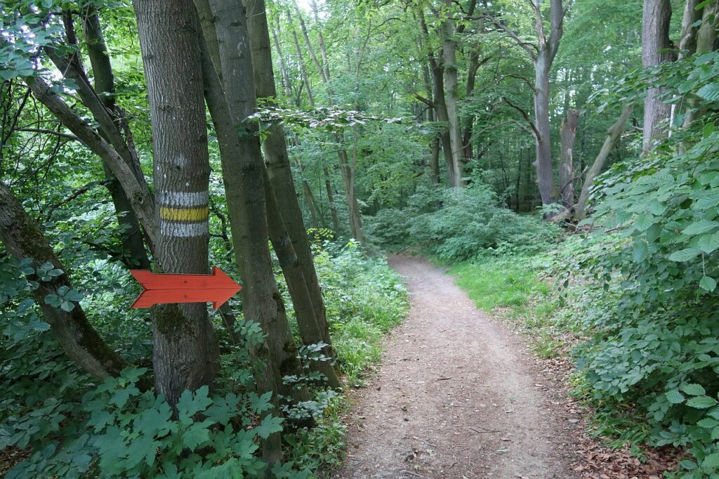 Galeriebild