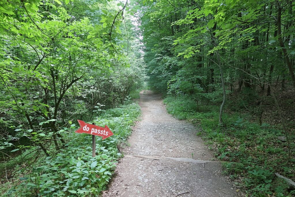 Galeriebild