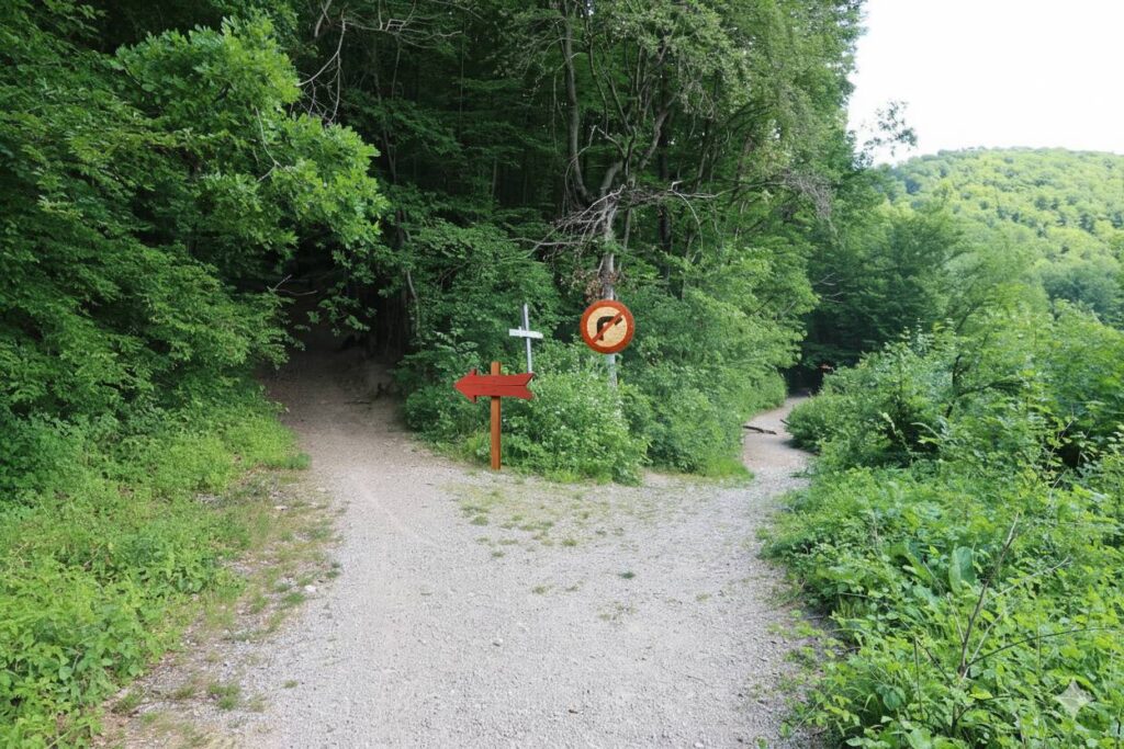Galeriebild