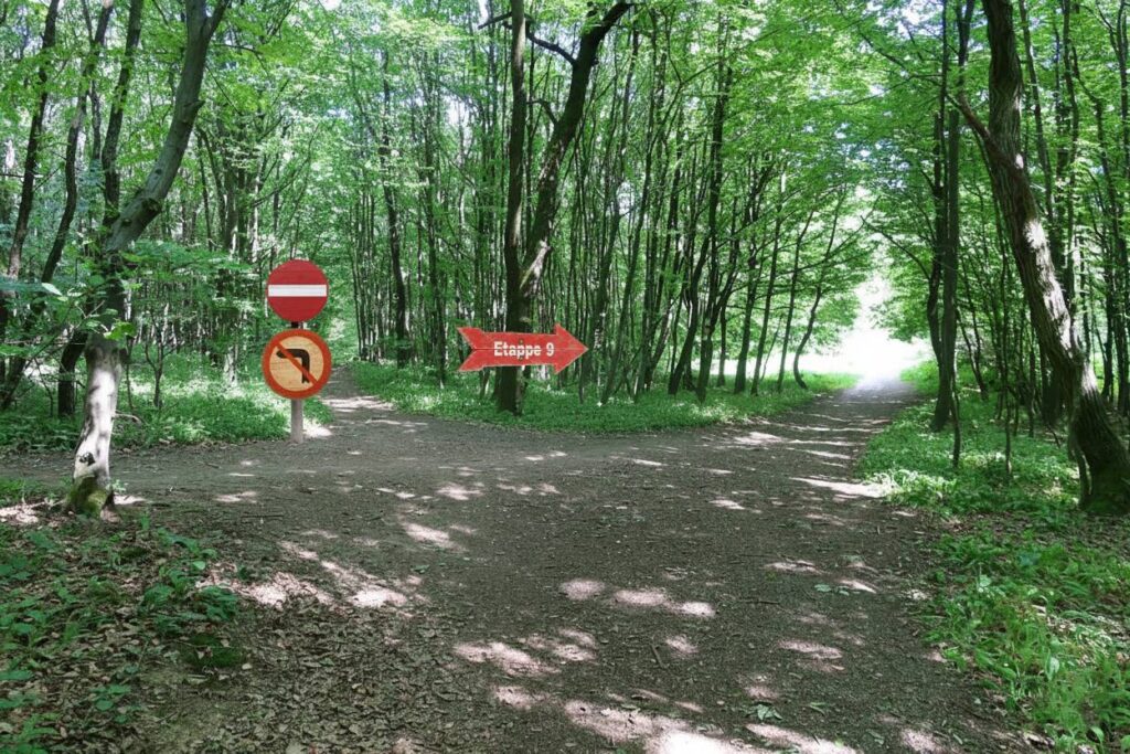 Galeriebild