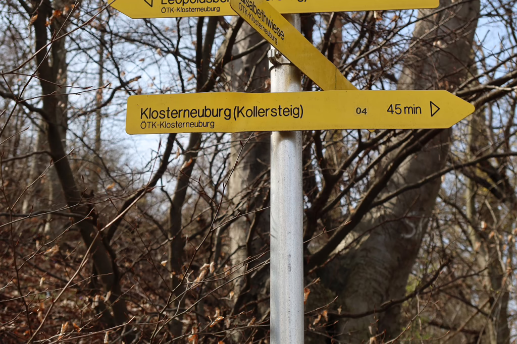Galeriebild