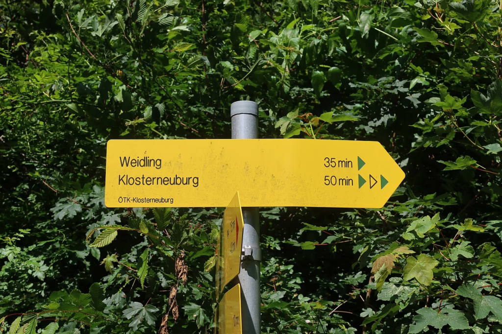 Galeriebild