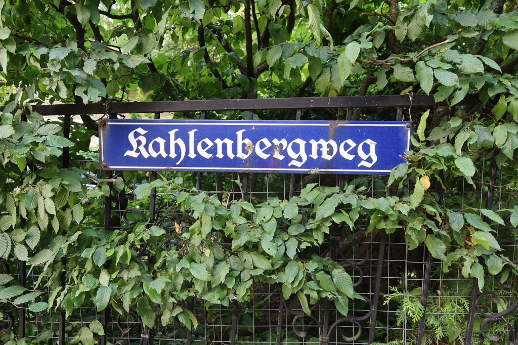Galeriebild