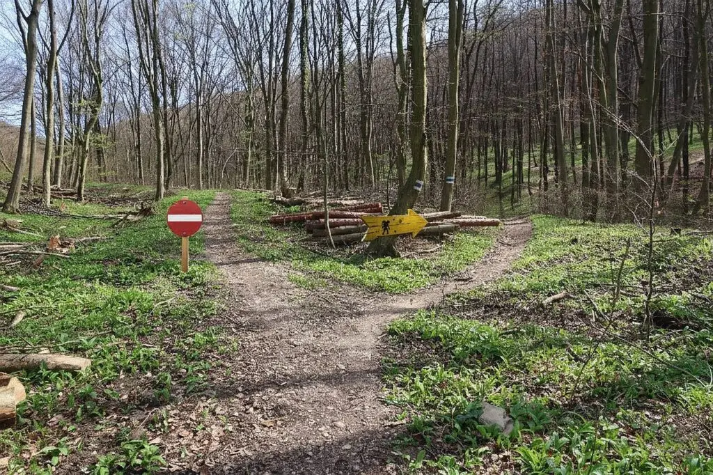 Galeriebild