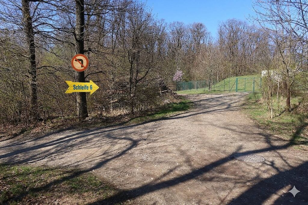 Galeriebild