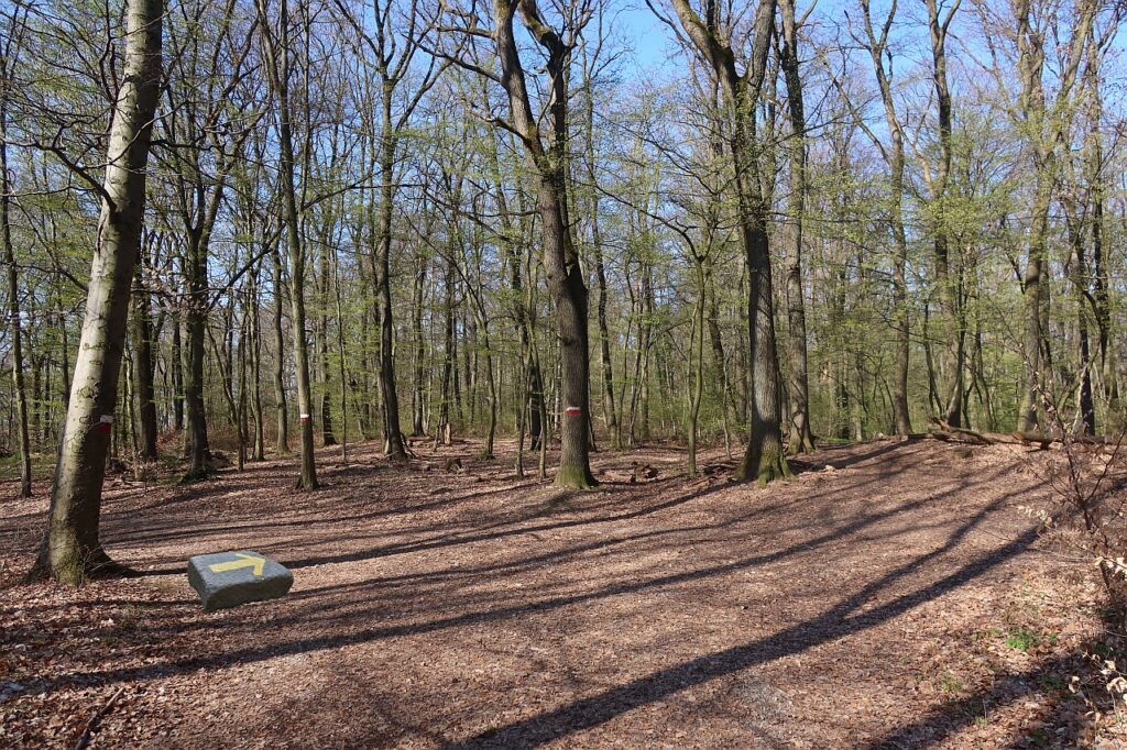 Galeriebild