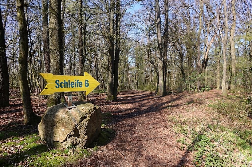 Galeriebild