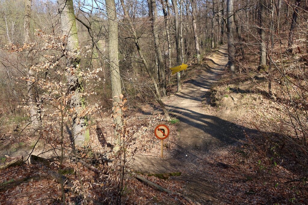 Galeriebild