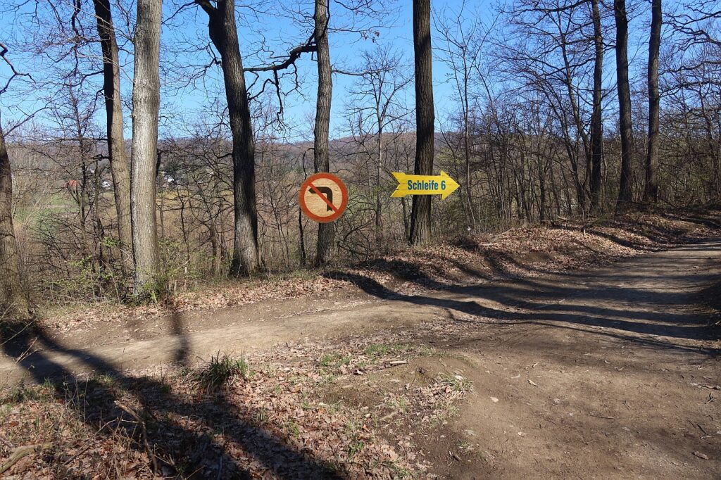 Galeriebild