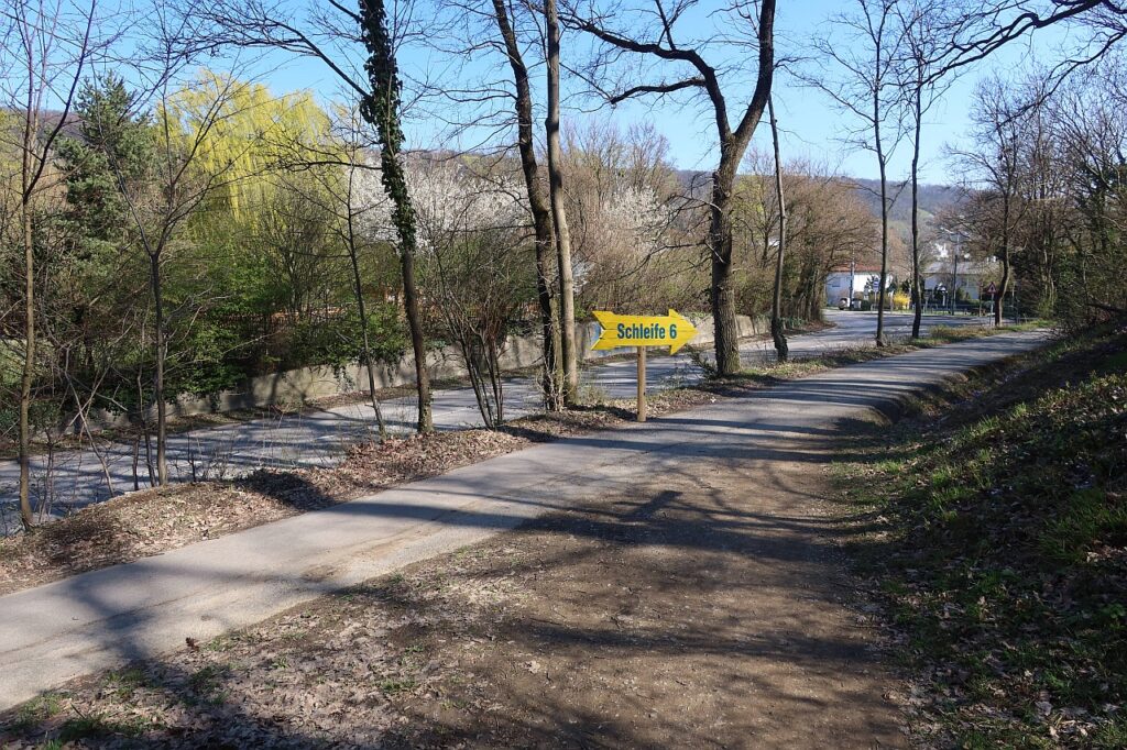 Galeriebild