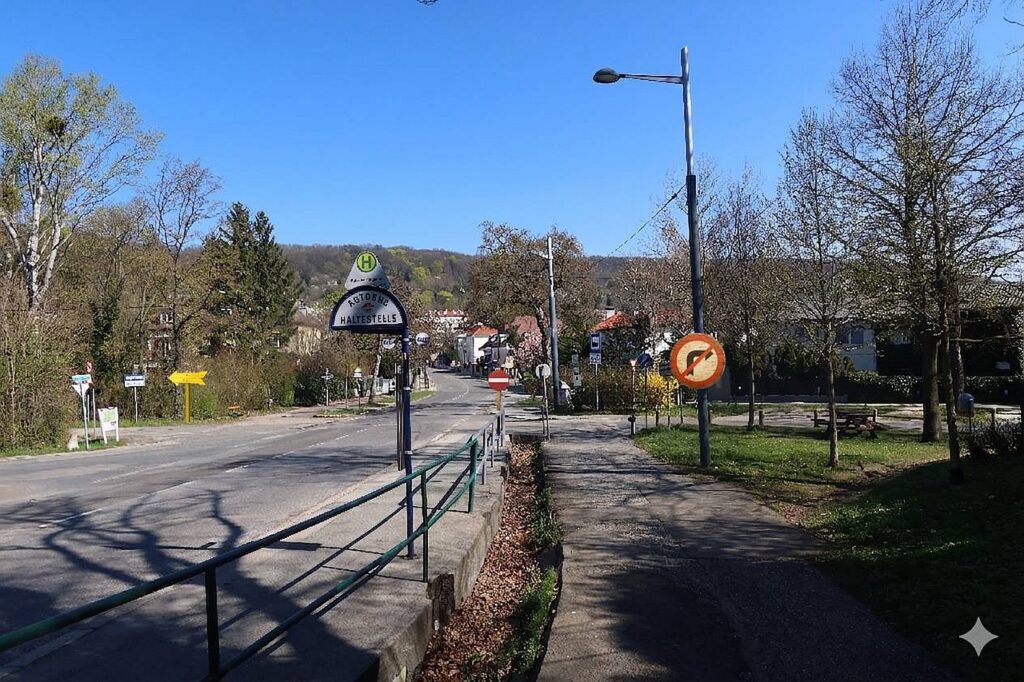 Galeriebild