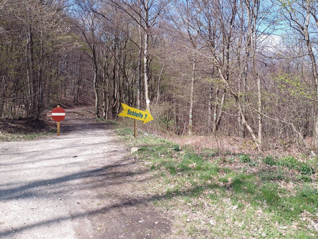 Galeriebild