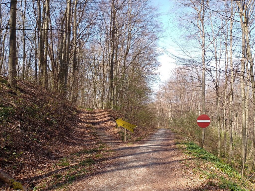 Galeriebild