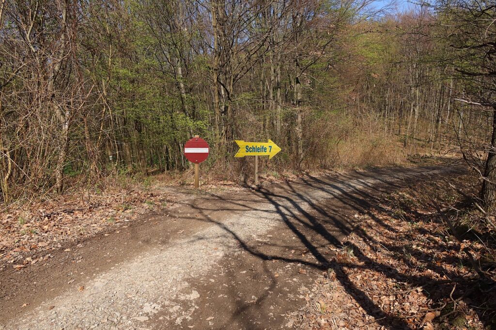Galeriebild