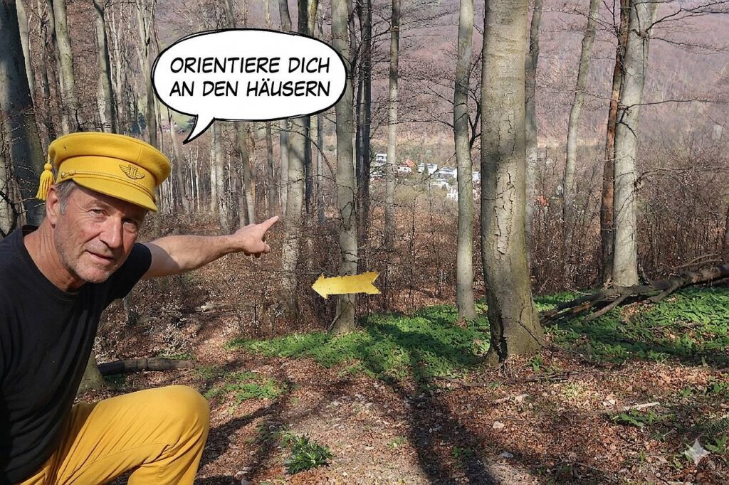 Galeriebild