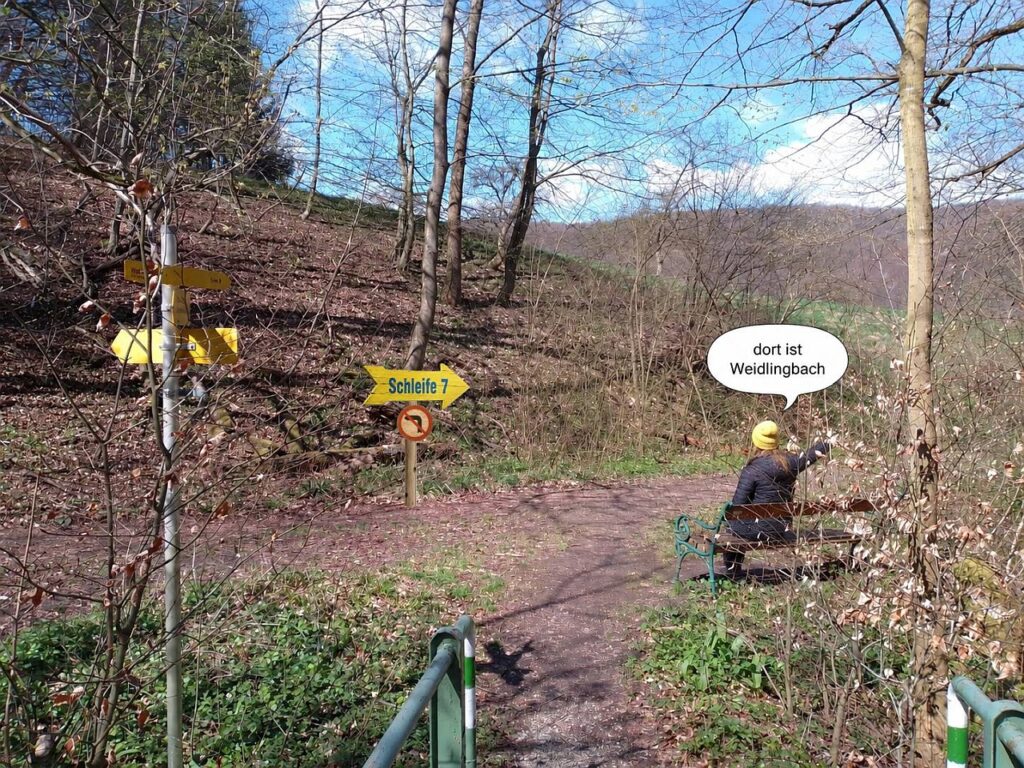 Galeriebild