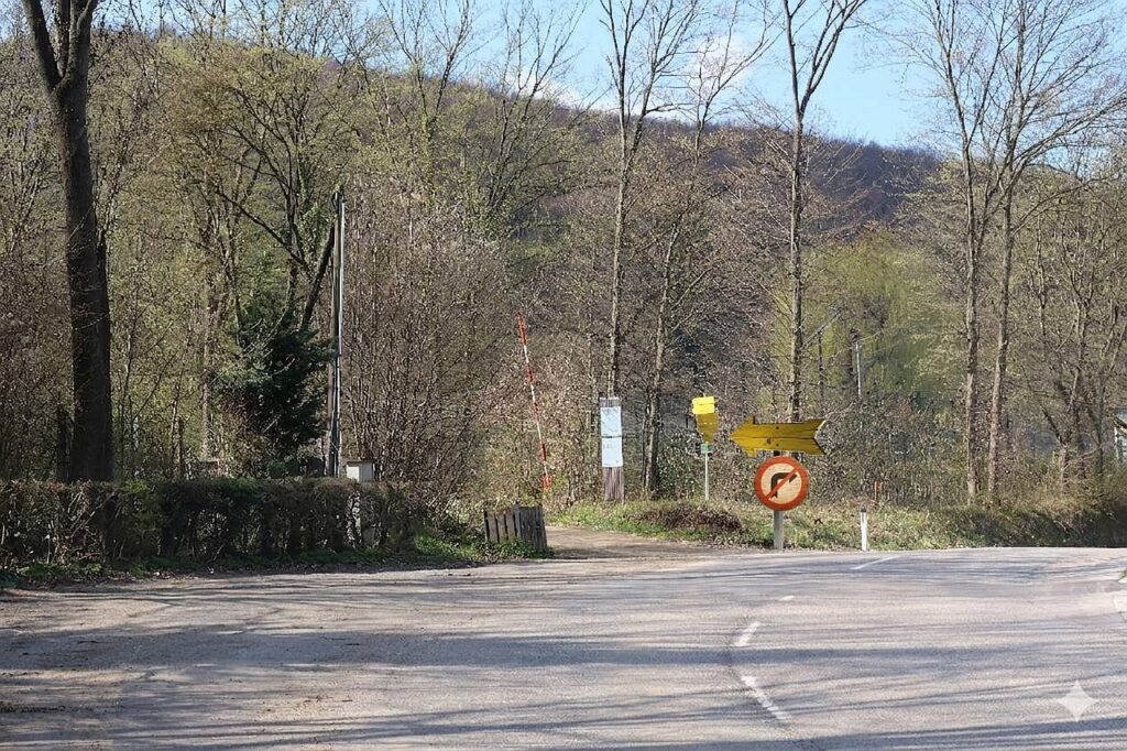 Galeriebild