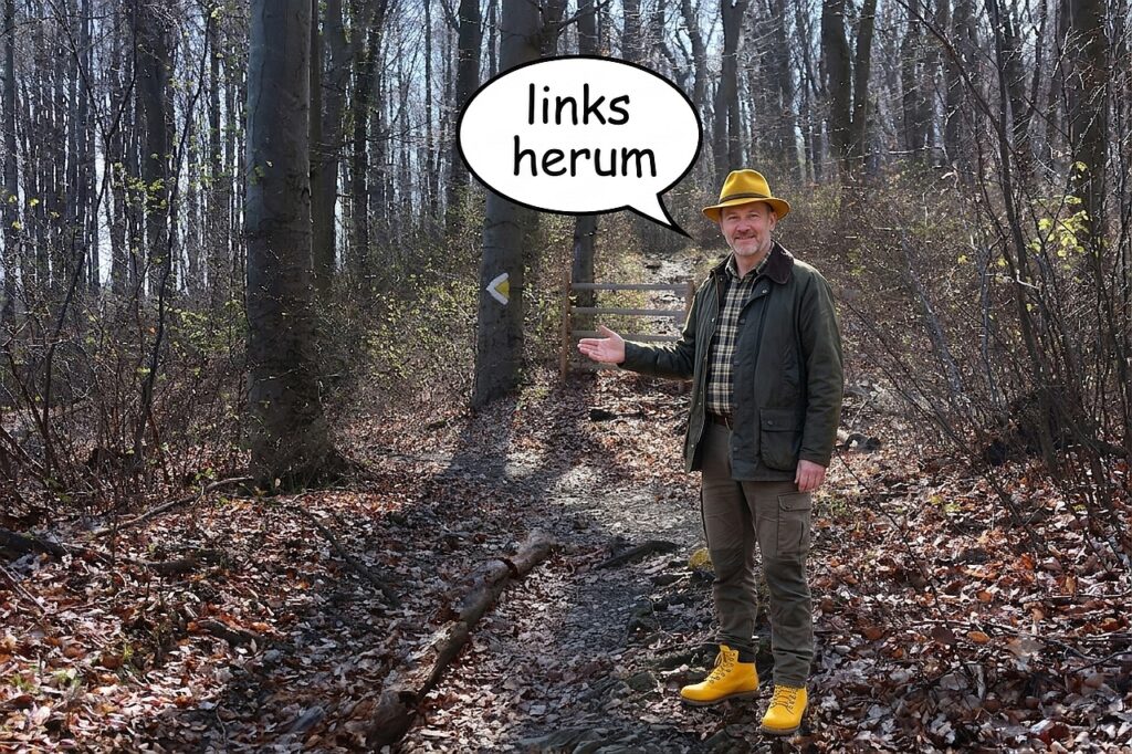 Galeriebild