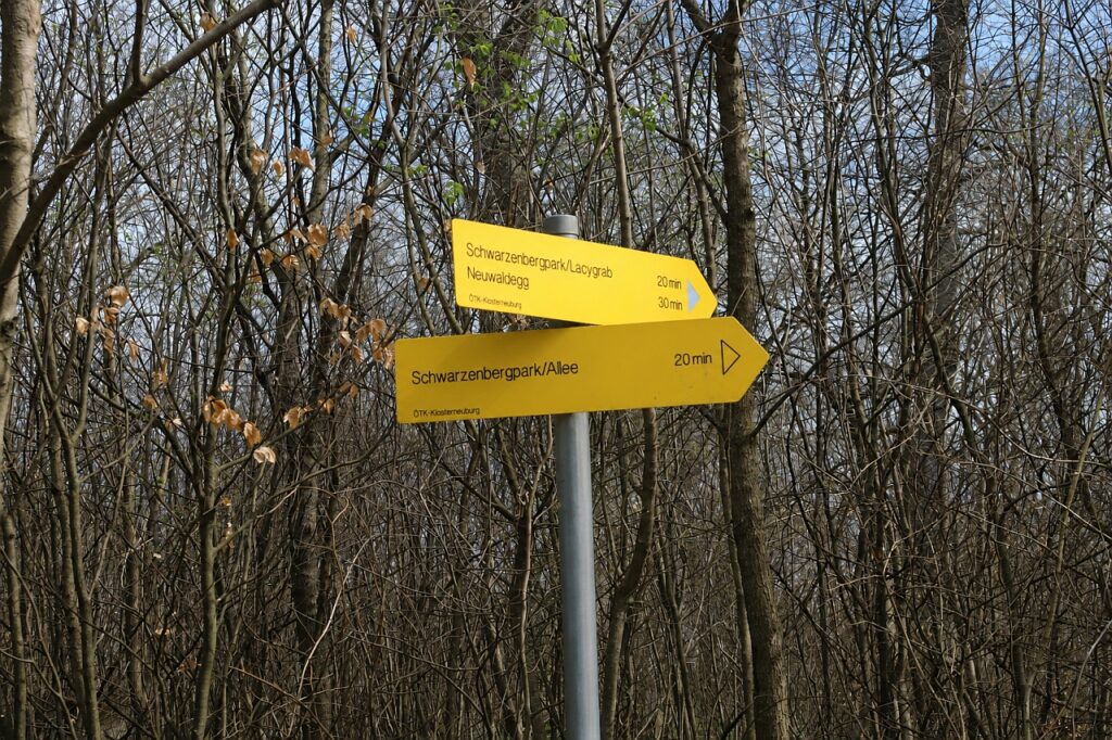 Galeriebild
