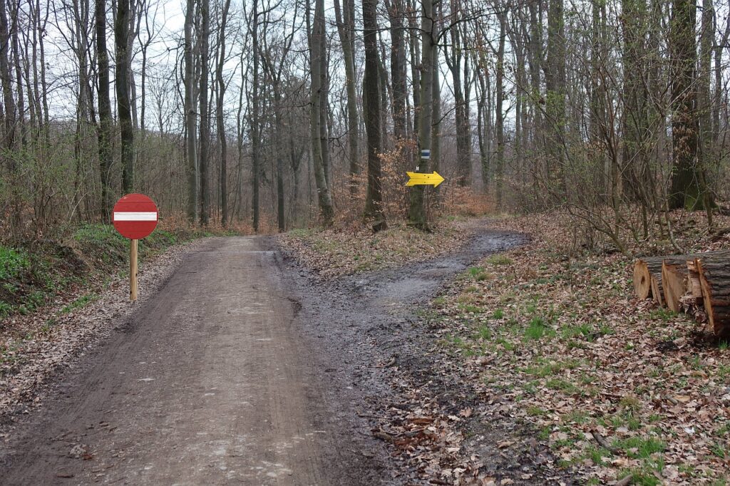 Galeriebild