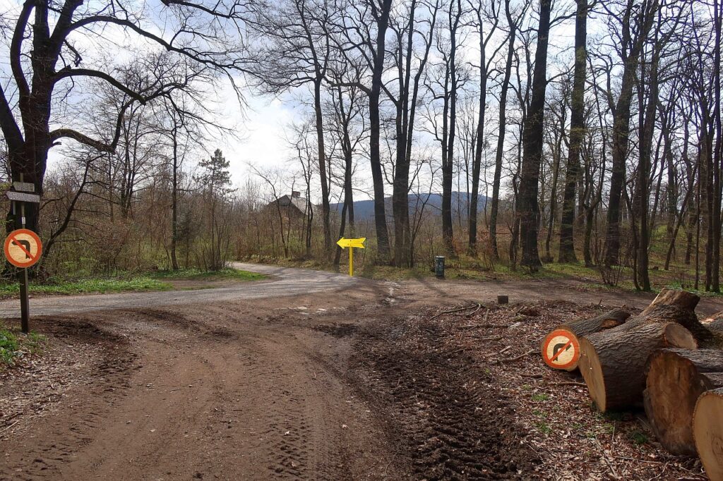 Galeriebild