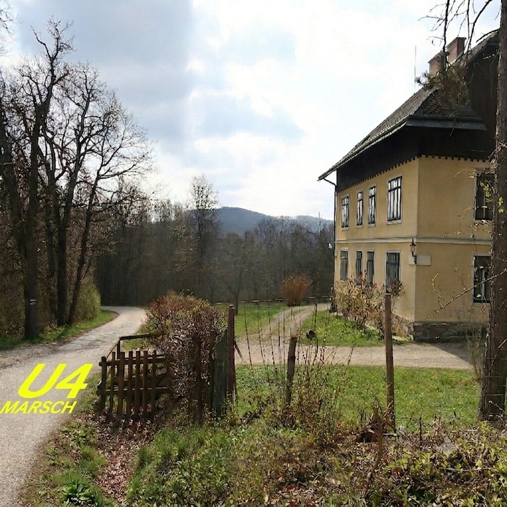 Galeriebild