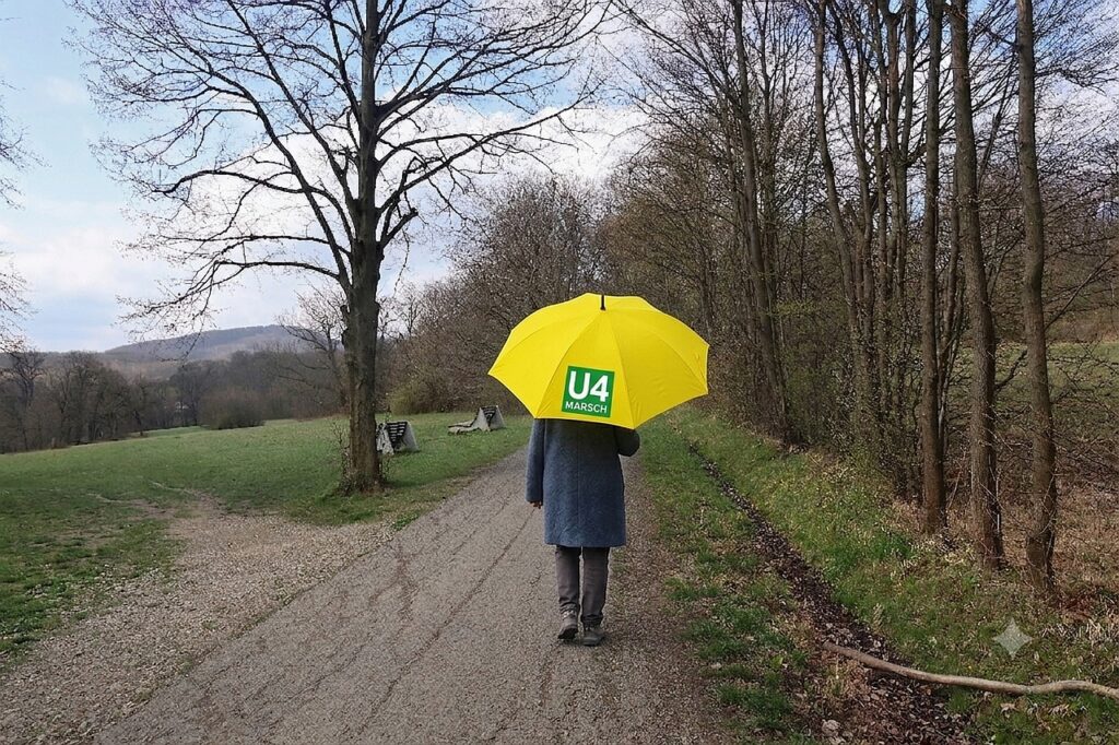 Galeriebild