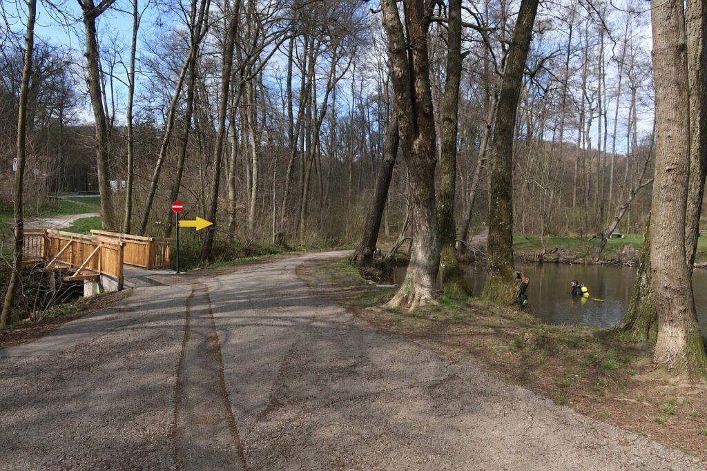 Galeriebild