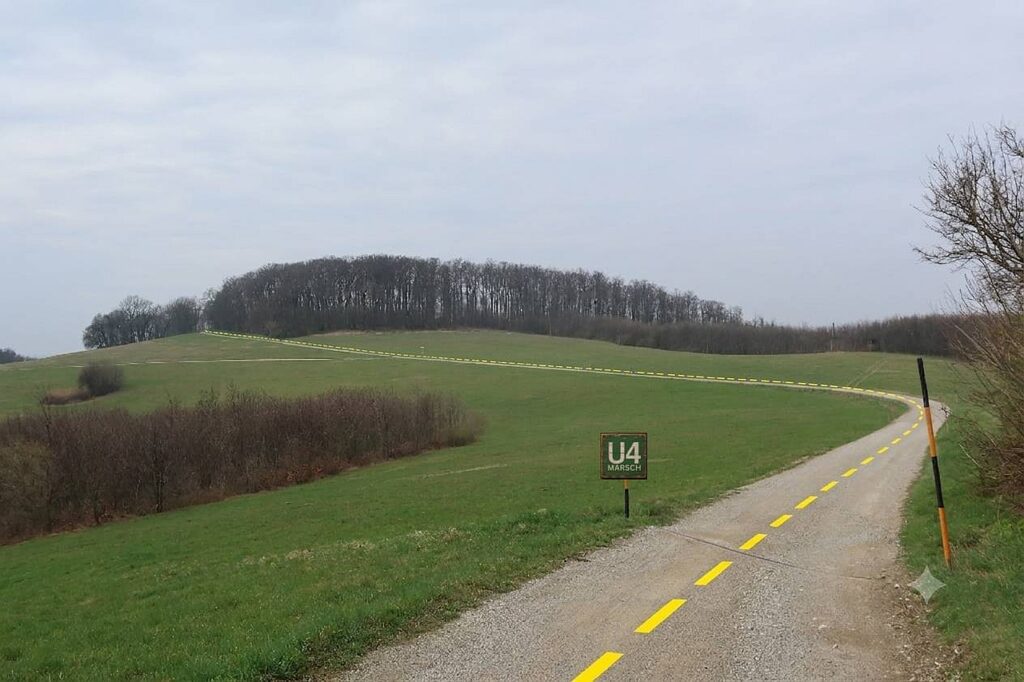 Galeriebild