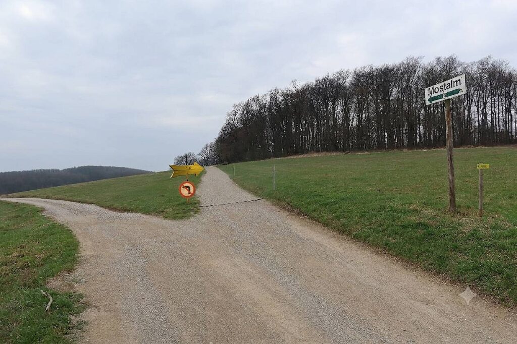 Galeriebild