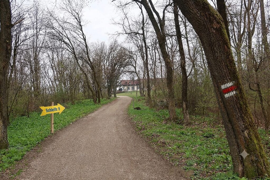 Galeriebild