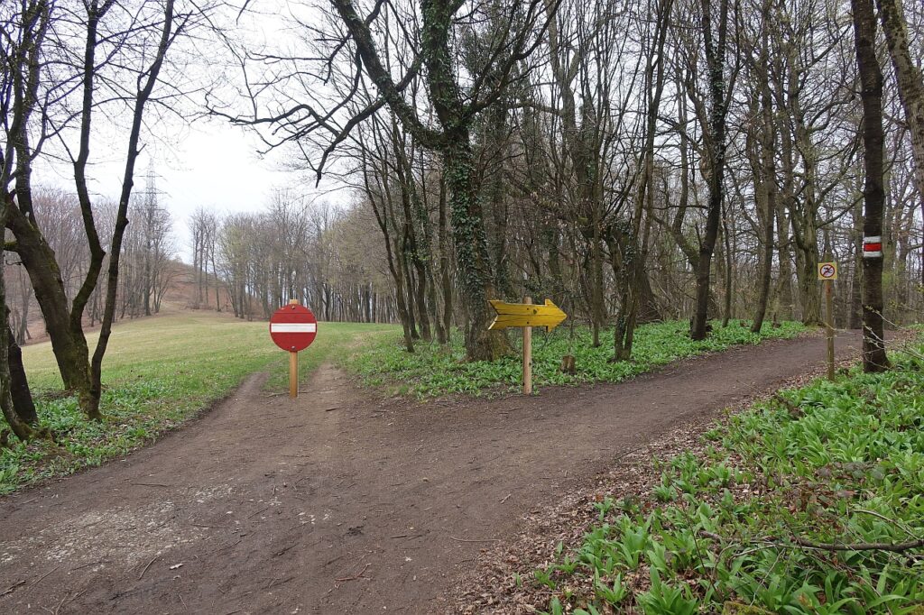 Galeriebild