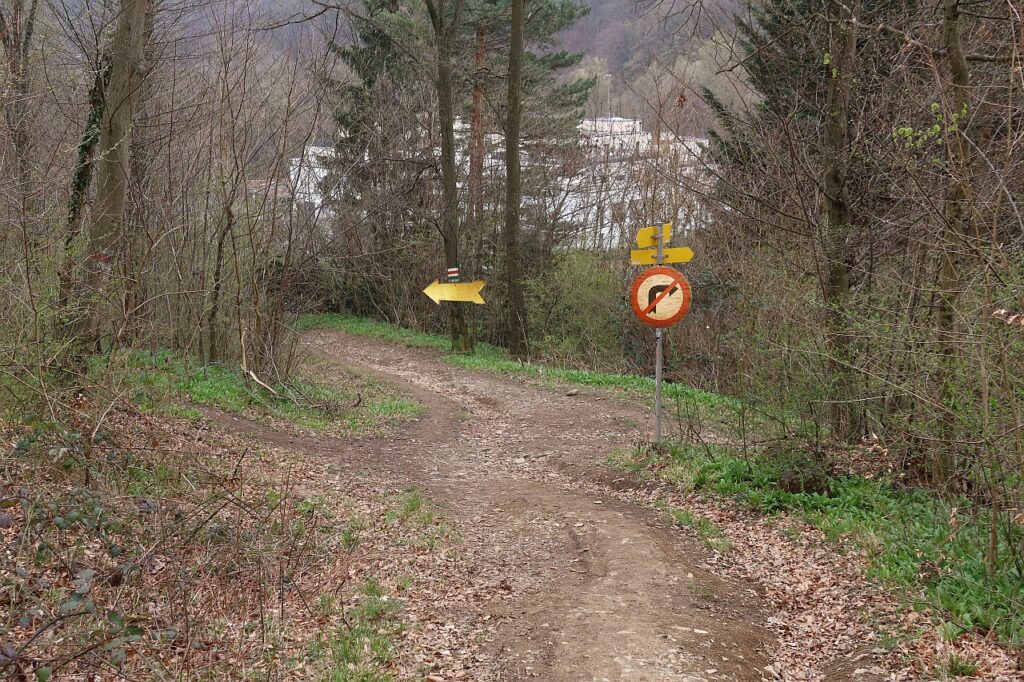 Galeriebild