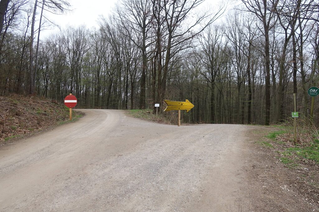 Galeriebild