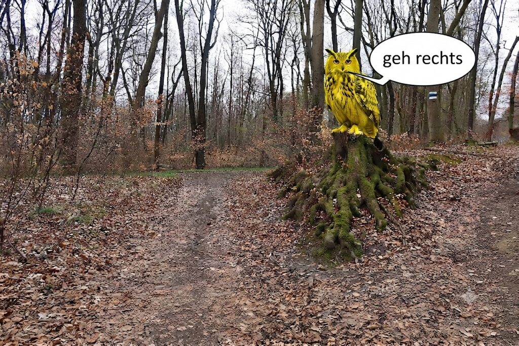 Galeriebild
