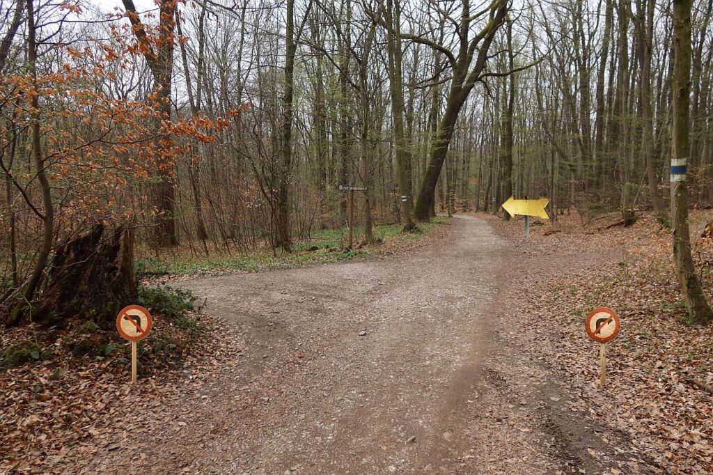 Galeriebild