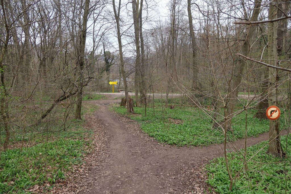 Galeriebild
