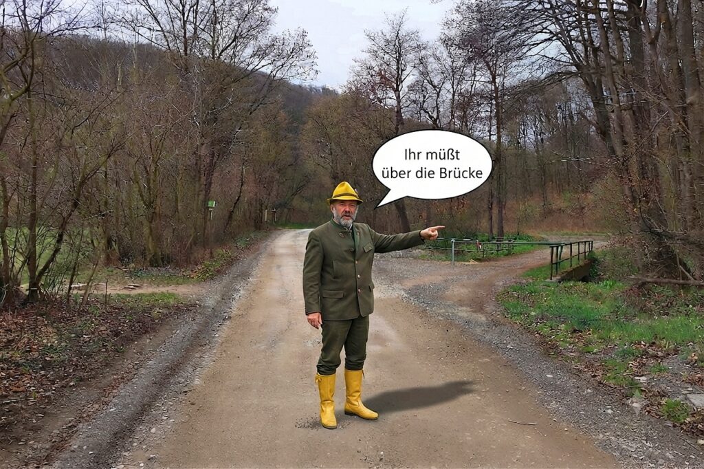 Galeriebild