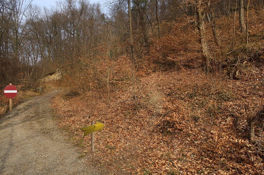 Galeriebild
